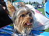 DSC01421.JPG