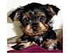 DSC01447_1.jpg