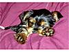 DSC01456_1.jpg