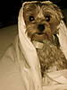 DSC01491.JPG