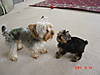 DSC01633-1.JPG