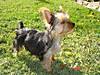 DSC01633.jpg