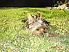 DSC01645.jpg