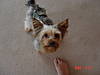DSC01801-1.JPG