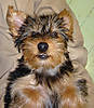 DSC01855a.jpg