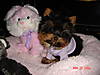 DSC022631.JPG