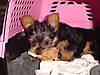 DSC02335.JPG