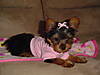 DSC02364.JPG