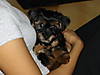 DSC03382.JPG