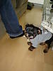 DSC03647.JPG