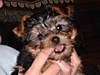 DSCF0044.JPG