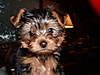 DSCF0045.JPG