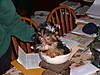 DSCF0052.JPG