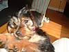 DSCF0096.JPG