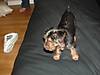 DSCF0097.JPG
