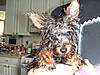 DSCF0304.JPG