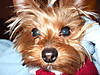 DSCF0987.JPG