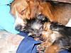 DSCF3002.JPG