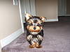 DSCF3364.JPG