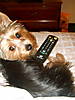 DSCF5084.JPG