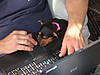 DSCN0004.JPG