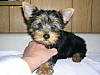DSCN0010.JPG