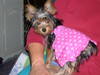 DSCN0327.JPG