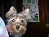 DSCN0379.JPG