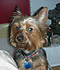 DSCN0392_1.gif
