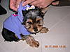DSCN0395.JPG