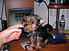 DSCN0402.JPG