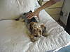 DSCN0558.JPG