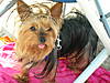 DSCN0755.JPG