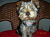 DSCN0791.JPG