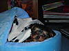 DSCN1052.JPG