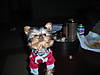 DSCN10811.JPG