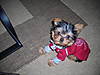 DSCN1083.JPG