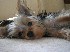 DSCN1139.JPG