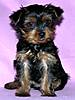 DSCN1419.jpg