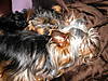 DSCN2169.JPG