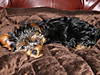 DSCN2173.JPG