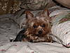 DSCN2457.JPG