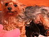 DSCN2499.JPG