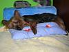 DSCN7557.JPG