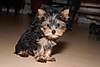 DSC_0070.JPG