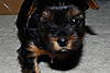 DSC_0669.JPG