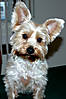 DSC_0798.jpg