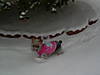 Daisy-popsicle_in_snow_of_Saturday_January_30_2010.jpg