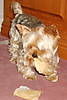 Dec2006toJan2007_010.jpg