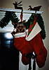 Diva_s_1st_Xmas_2001.jpg